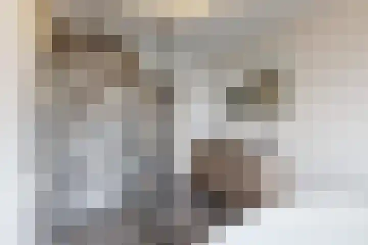 Molenberglaan 5 Klundert thumbnail 43