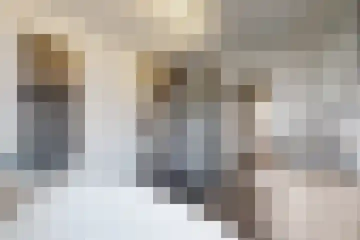 Molenberglaan 5 Klundert thumbnail 44