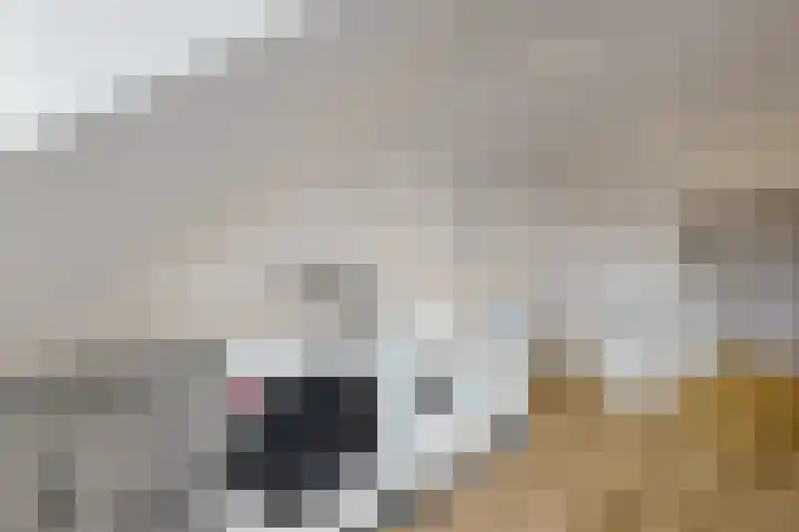 Molenberglaan 5 Klundert thumbnail 46