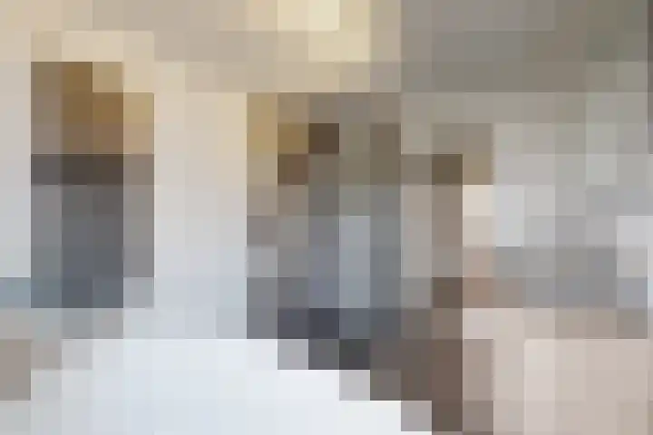 Molenberglaan 5 Klundert thumbnail 5
