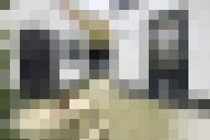 Molenberglaan 5 Klundert thumbnail 57