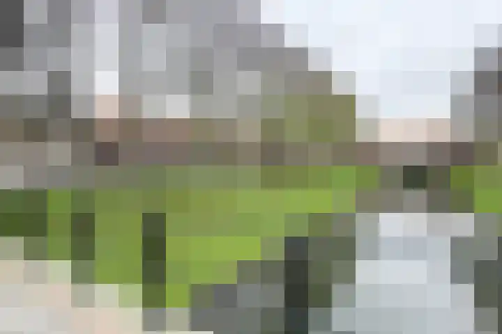 Molenberglaan 5 Klundert thumbnail 6