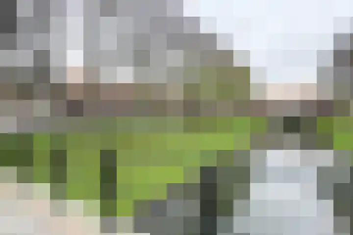 Molenberglaan 5 Klundert thumbnail 67