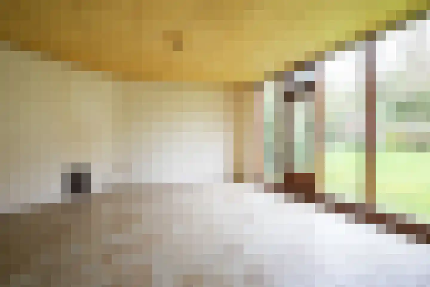 Molenberglaan 81 Heerlen thumbnail 26