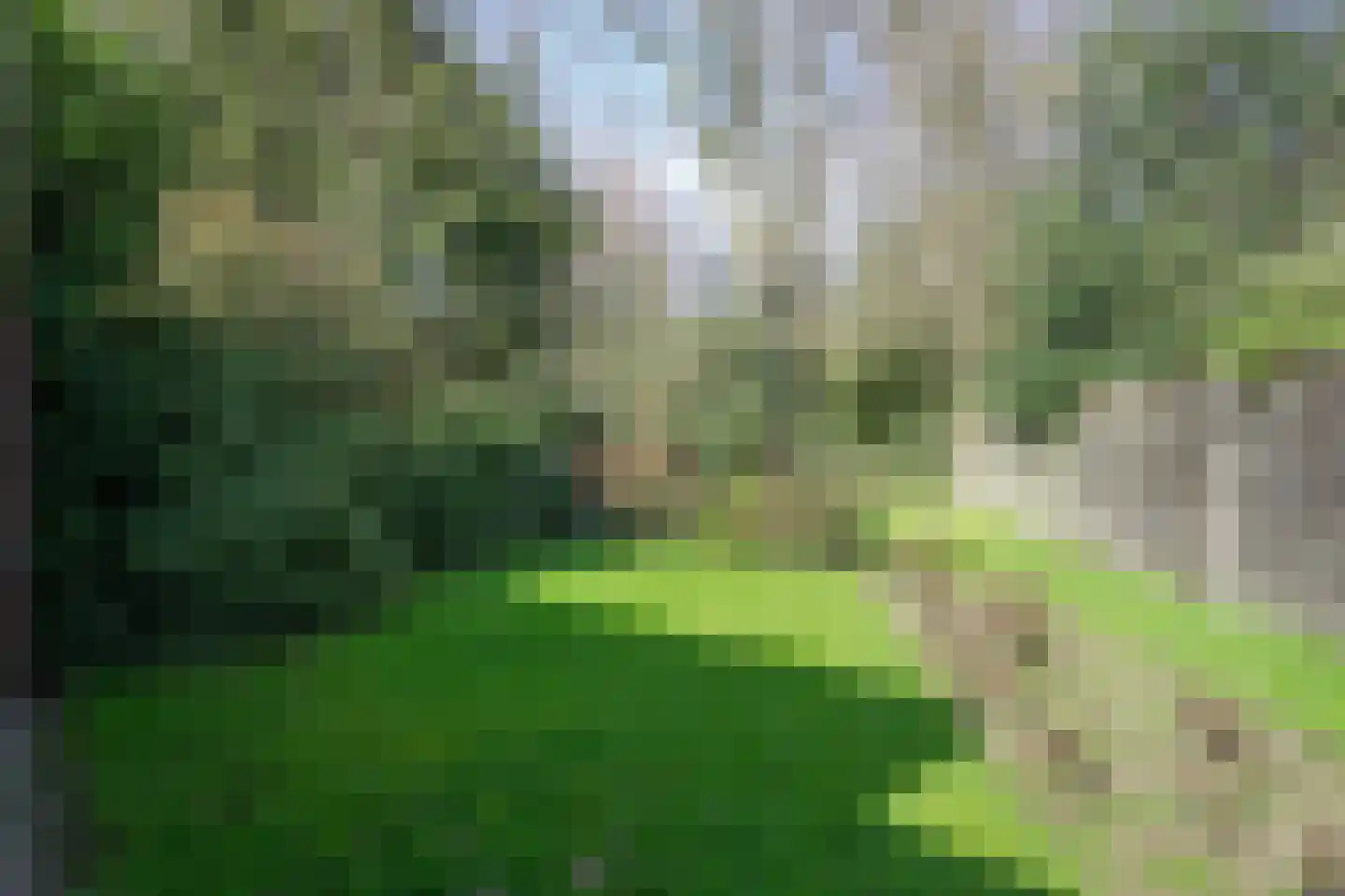 Molenberglaan 81 Heerlen thumbnail 42