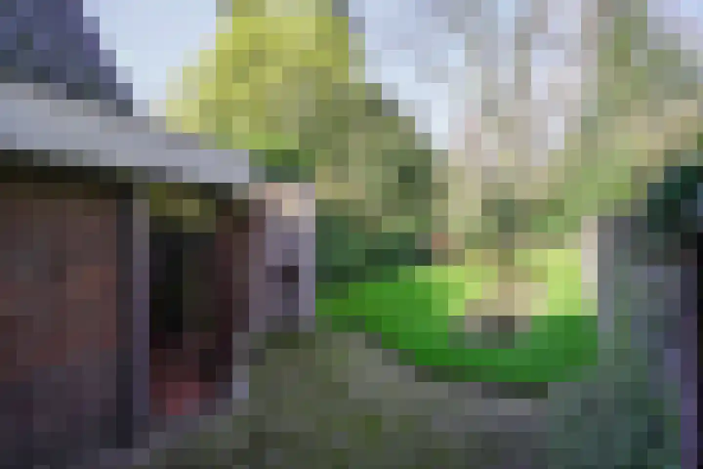 Molenberglaan 81 Heerlen thumbnail 45