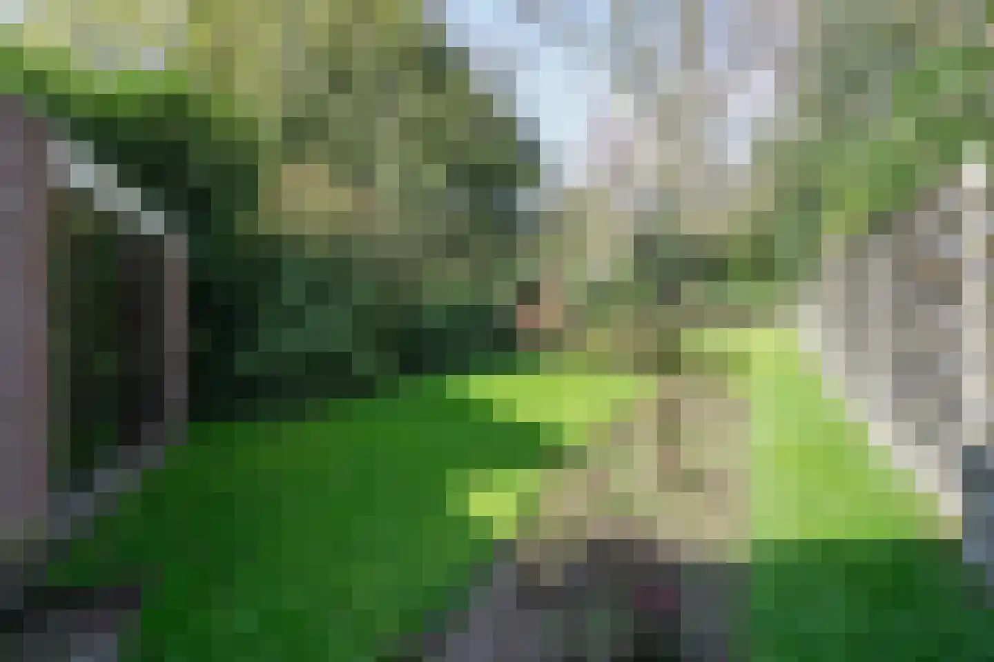 Molenberglaan 81 Heerlen thumbnail 46