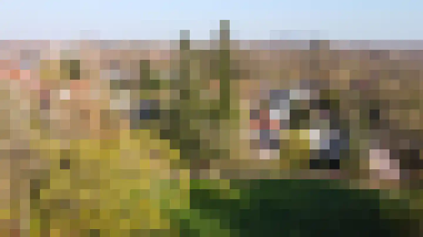 Molenberglaan 81 Heerlen thumbnail 55