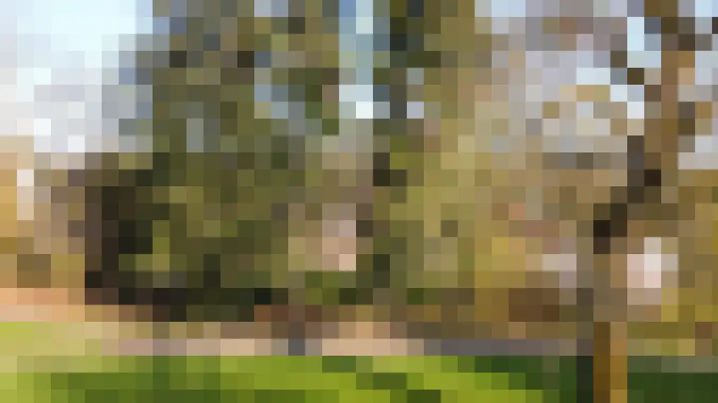 Molenberglaan 81 Heerlen thumbnail 57