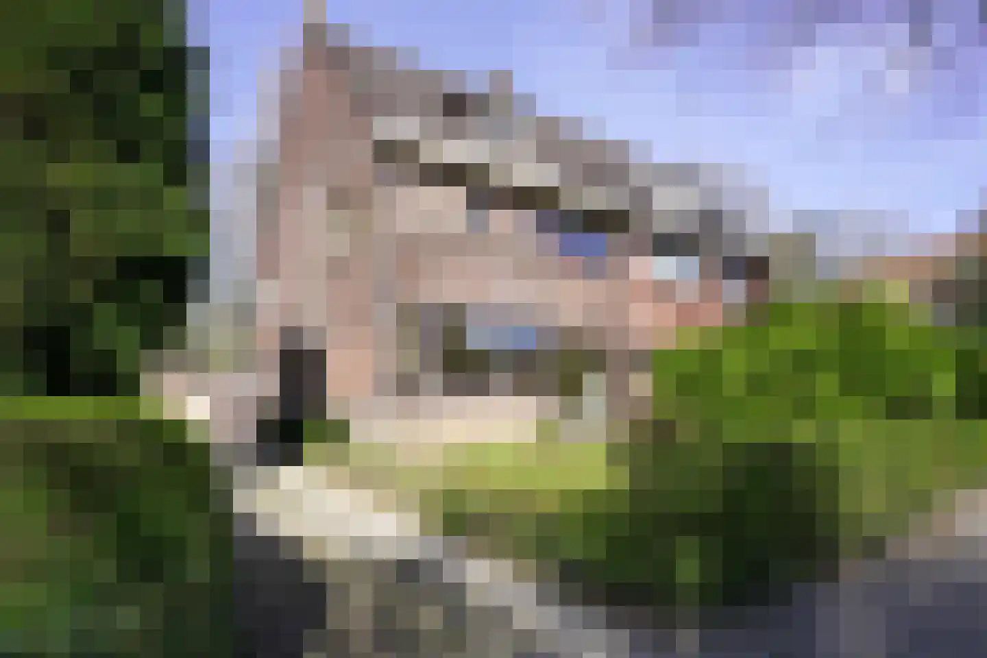 Molenberglaan 81 Heerlen thumbnail 69