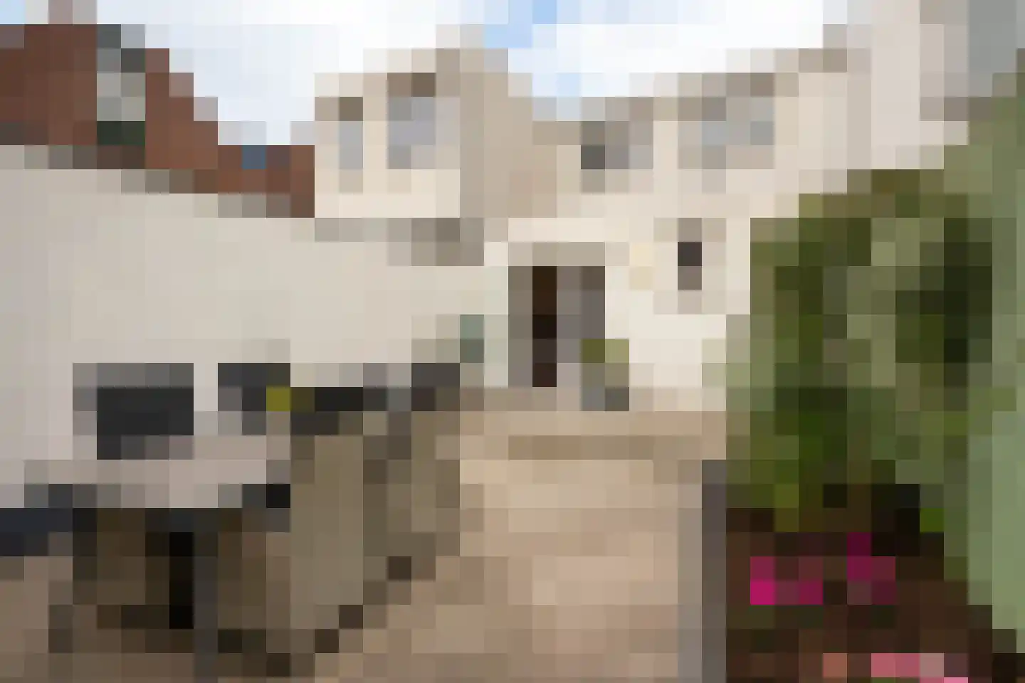 Molenbergstraat 13 Bergen op Zoom thumbnail 23