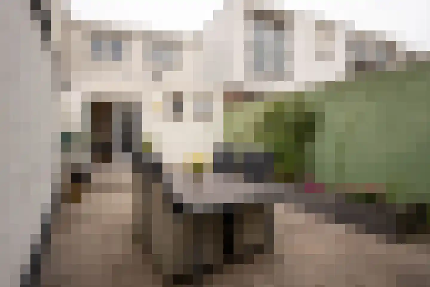 Molenbergstraat 13 Bergen op Zoom thumbnail 24