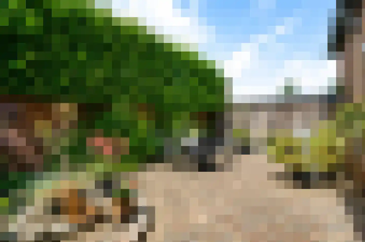 Molenbergweg 18 Herkenbosch thumbnail 15
