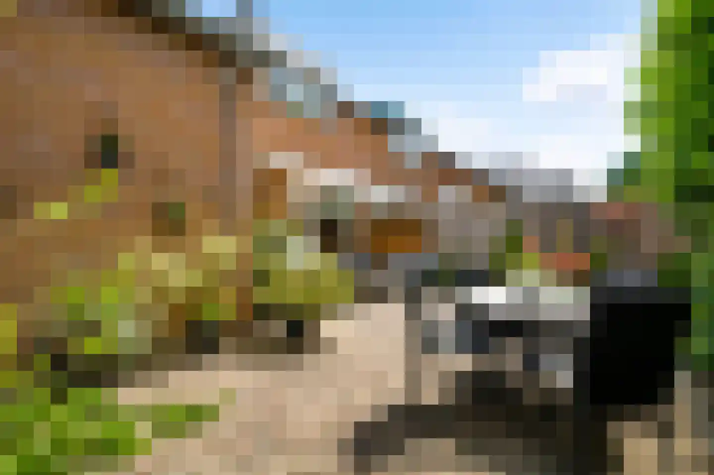 Molenbergweg 18 Herkenbosch thumbnail 16