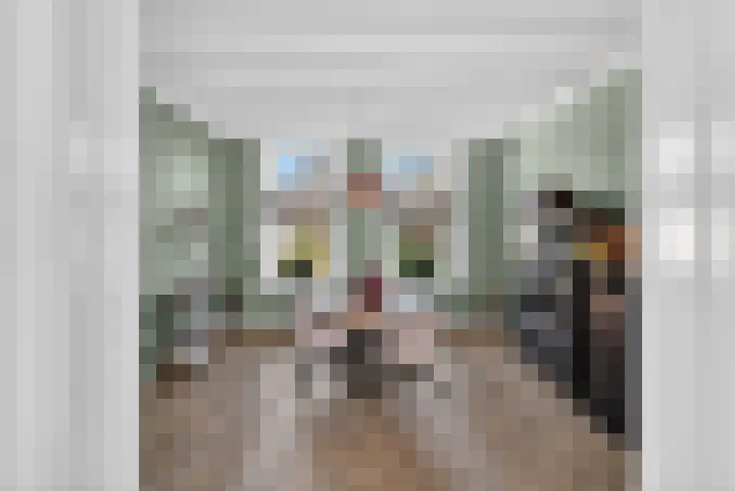 Molenblok 16 Ouddorp thumbnail 12