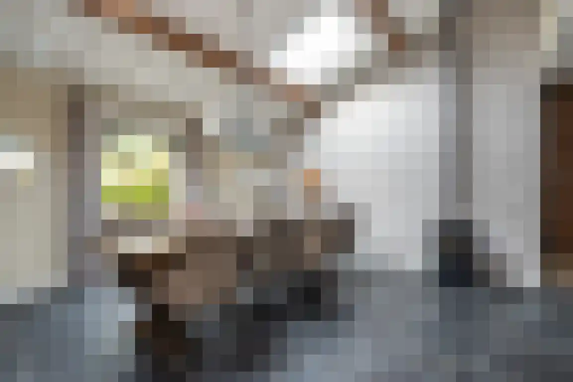 Molenblok 19 Ouddorp thumbnail 19