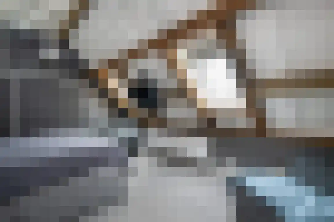 Molenblok 19 Ouddorp thumbnail 27
