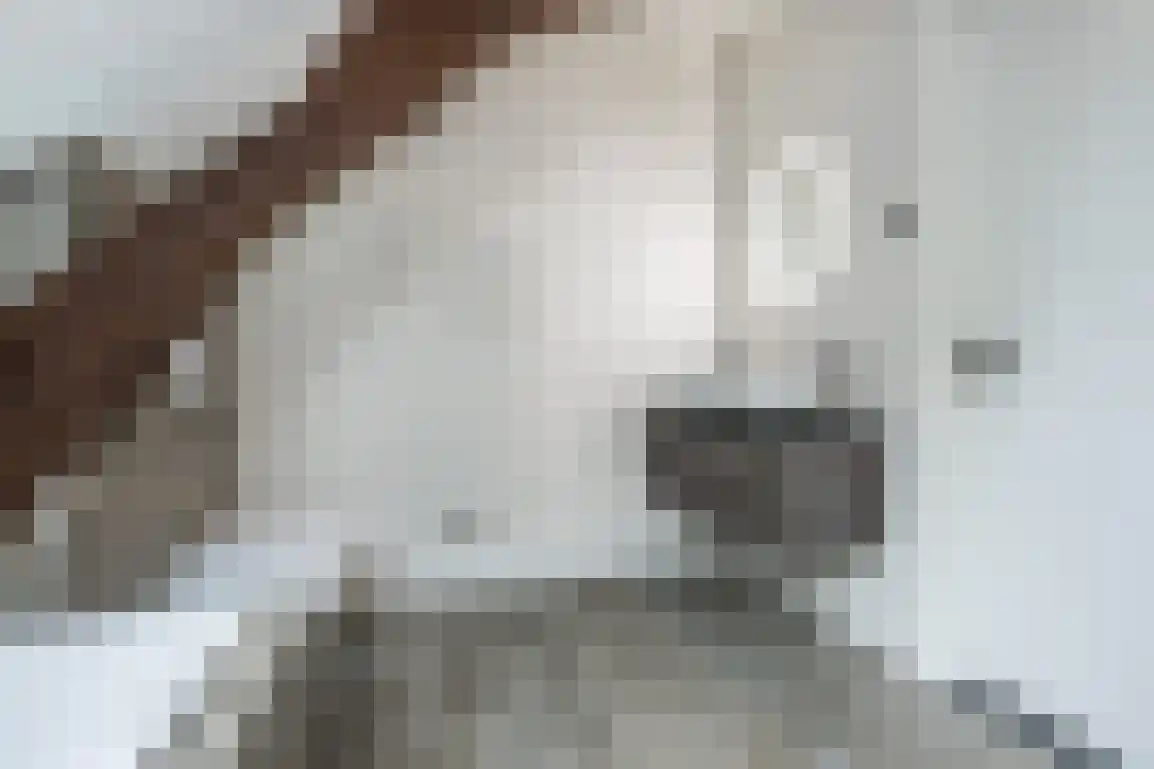 Molenblok 19 Ouddorp thumbnail 31