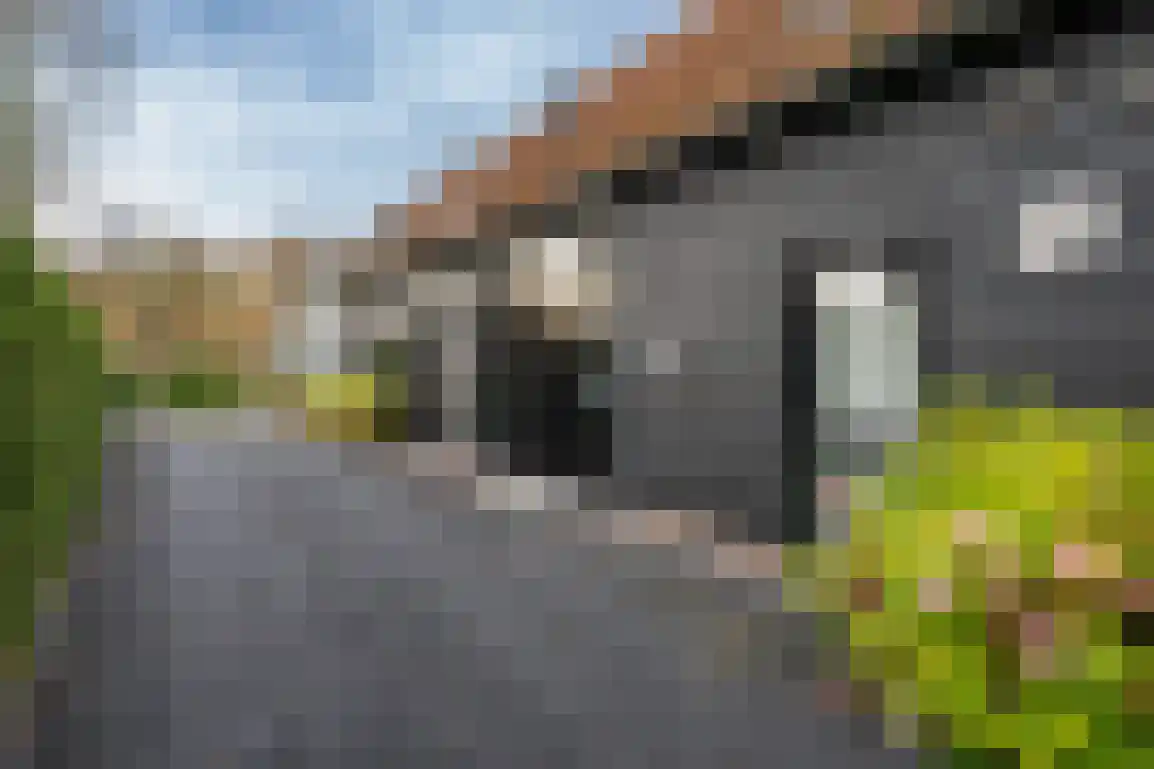 Molenblok 19 Ouddorp thumbnail 4