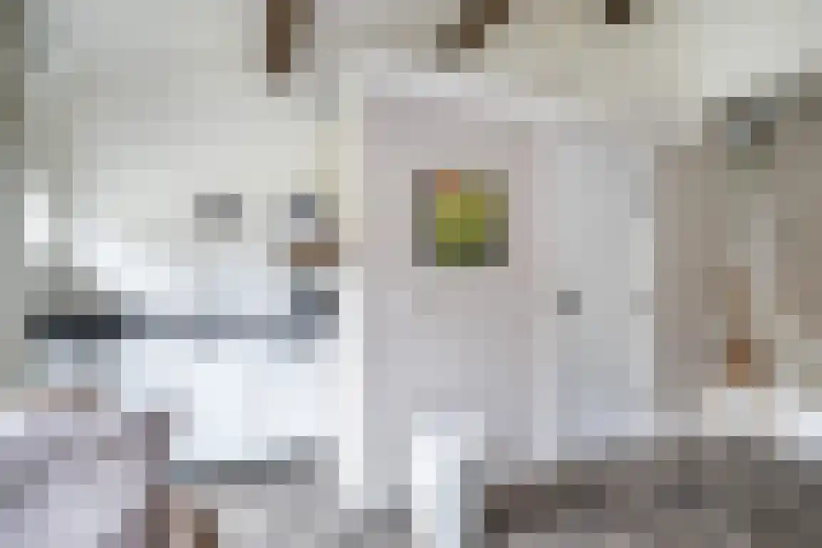 Molenblok 19 Ouddorp thumbnail 41