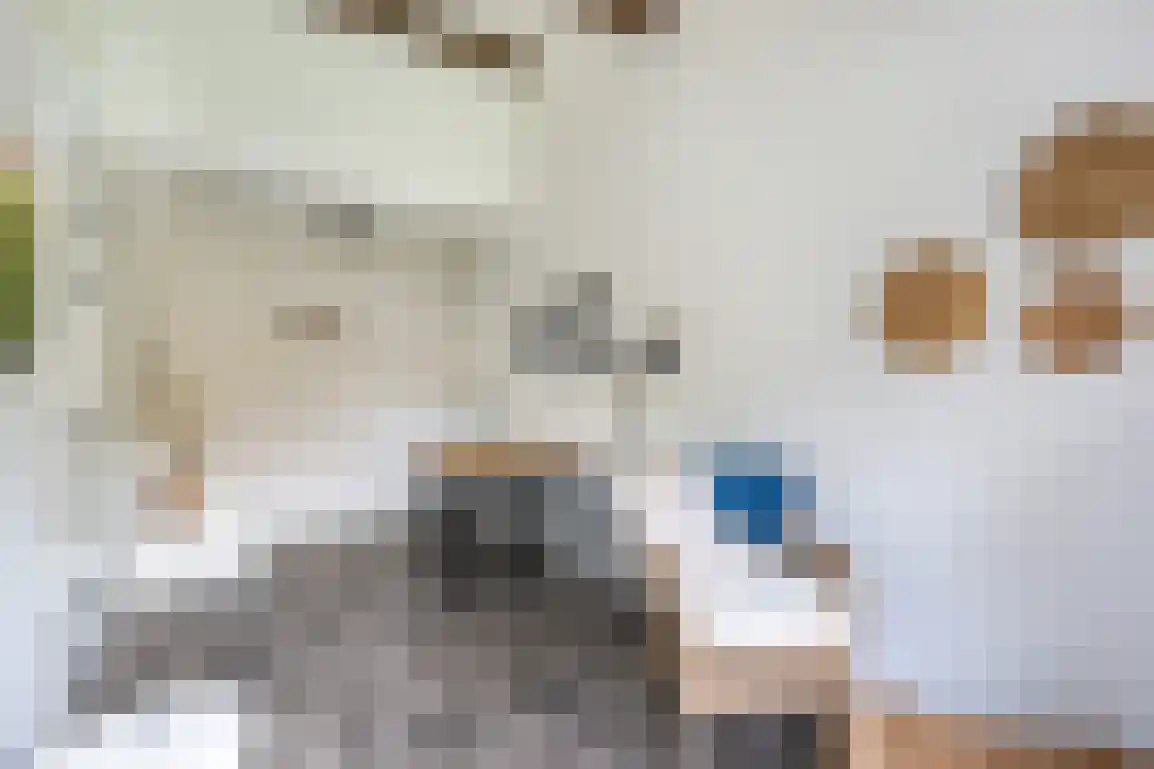 Molenblok 19 Ouddorp thumbnail 42
