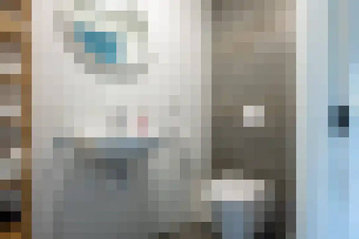 Molenblok 19 Ouddorp thumbnail 43