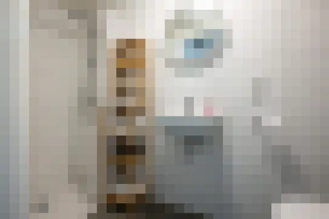 Molenblok 19 Ouddorp thumbnail 44