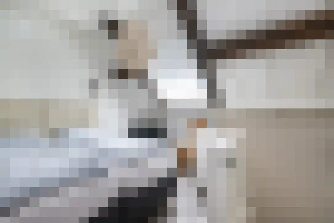 Molenblok 19 Ouddorp thumbnail 46
