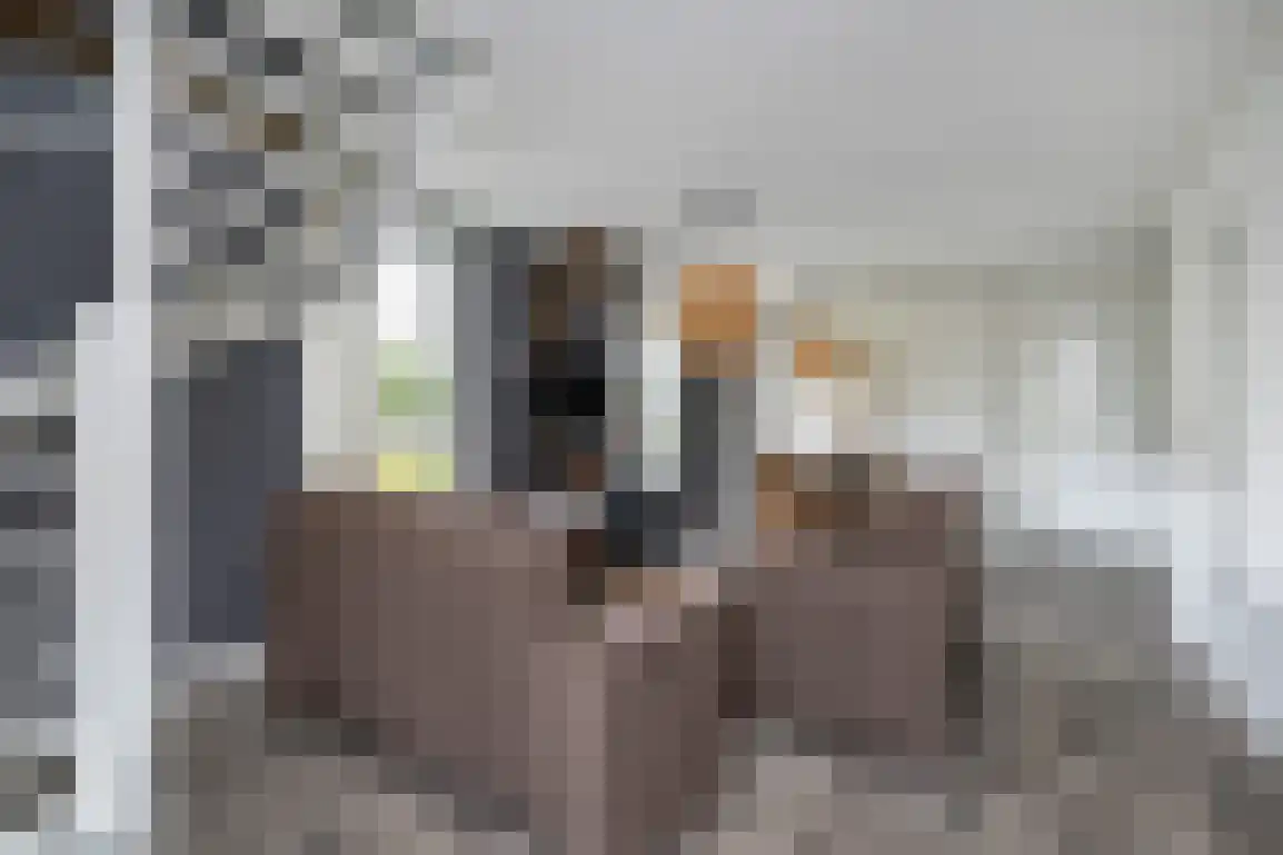 Molenblok 19 Ouddorp thumbnail 50