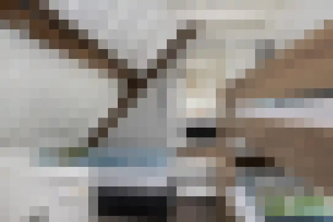 Molenblok 19 Ouddorp thumbnail 55
