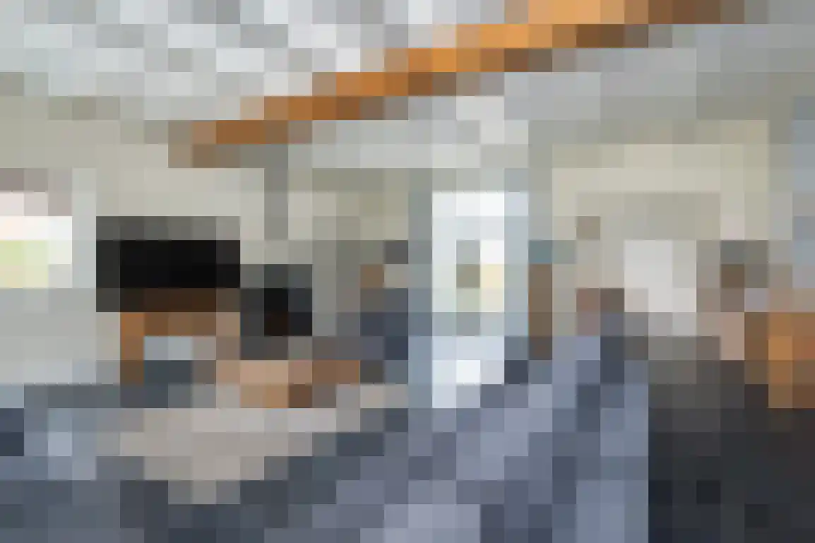 Molenblok 19 Ouddorp thumbnail 7