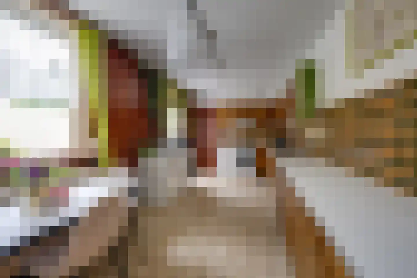Molenbochtplein 14 Tilburg thumbnail 17