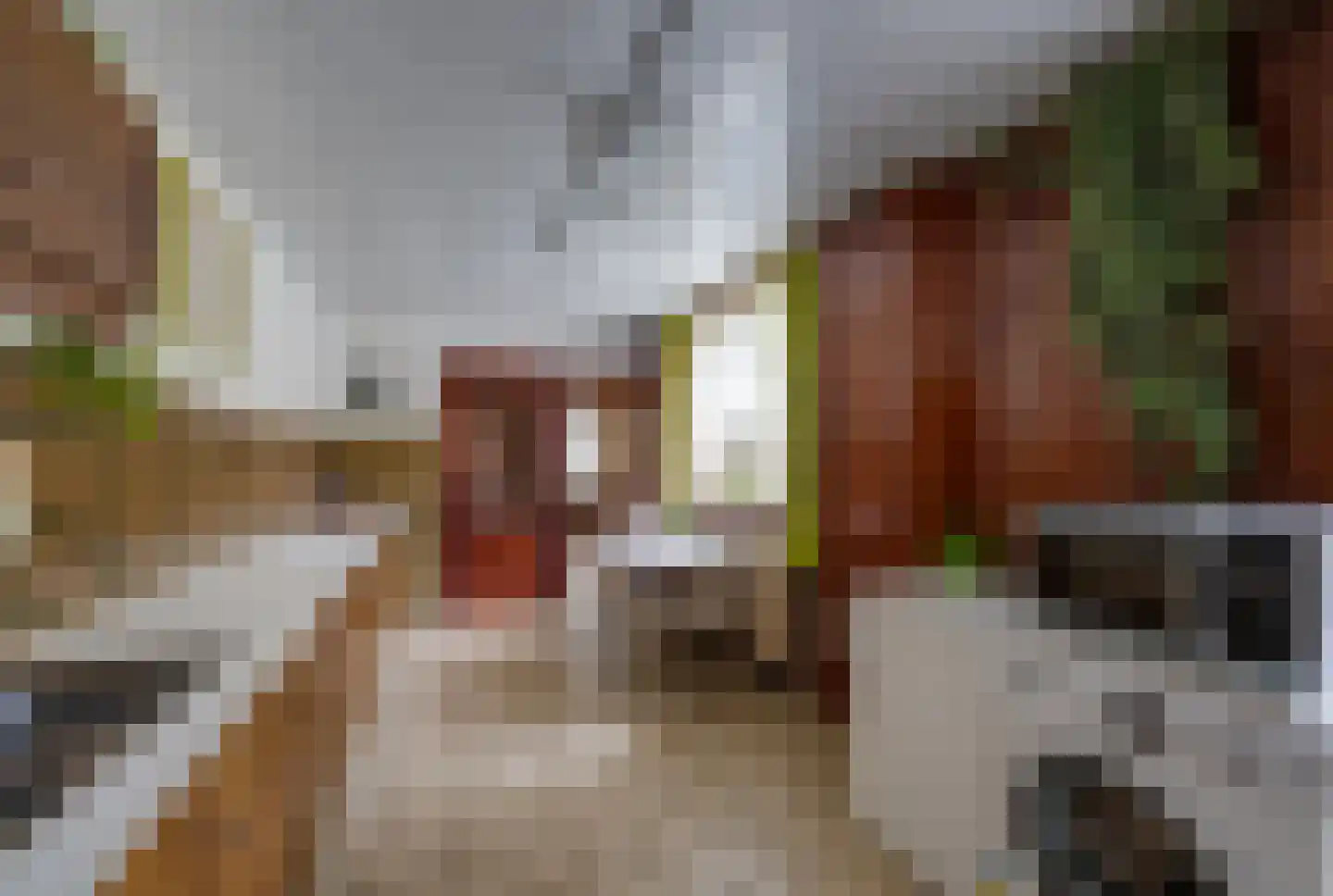 Molenbochtplein 14 Tilburg thumbnail 18