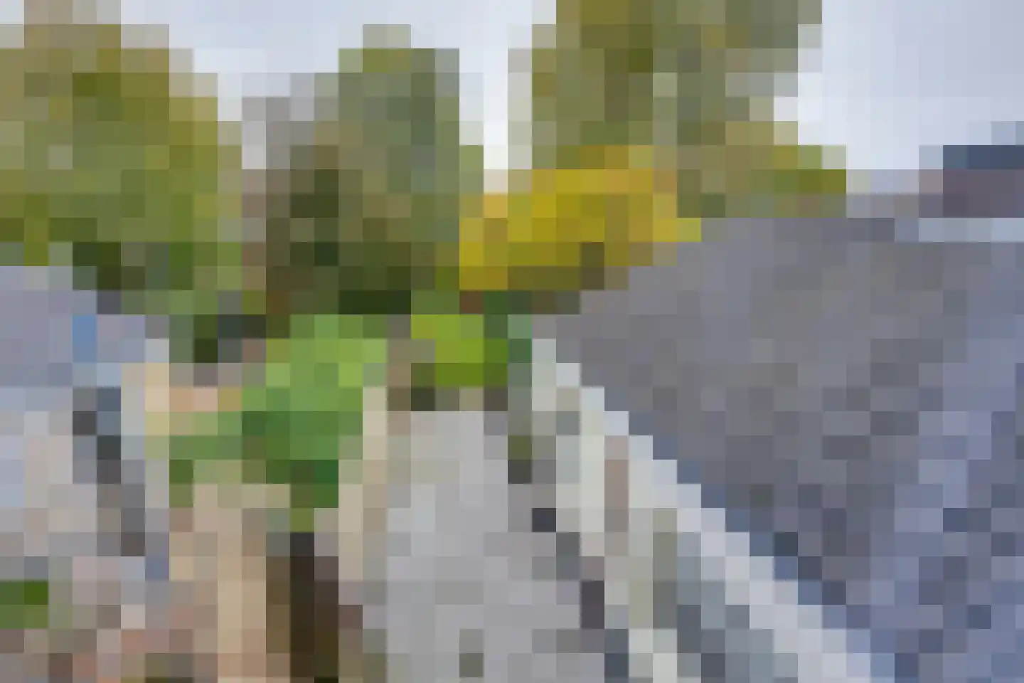 Molenbochtplein 14 Tilburg thumbnail 26