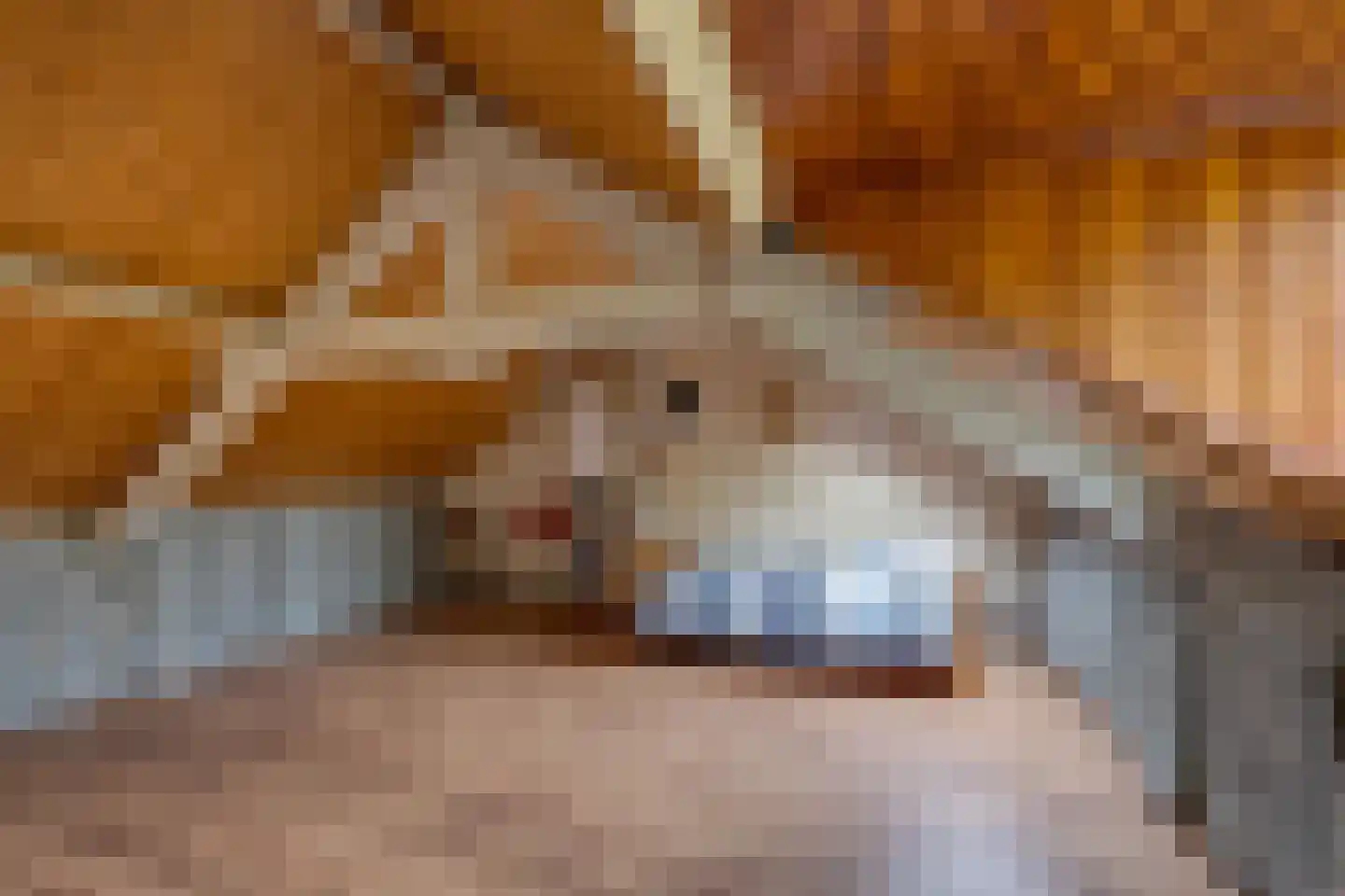 Molenbochtplein 14 Tilburg thumbnail 34