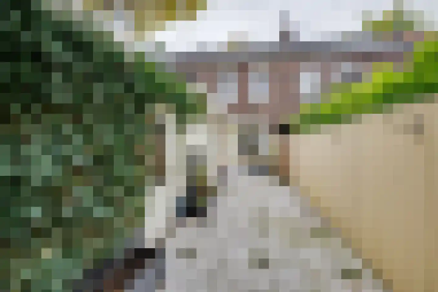 Molenbochtplein 14 Tilburg thumbnail 35