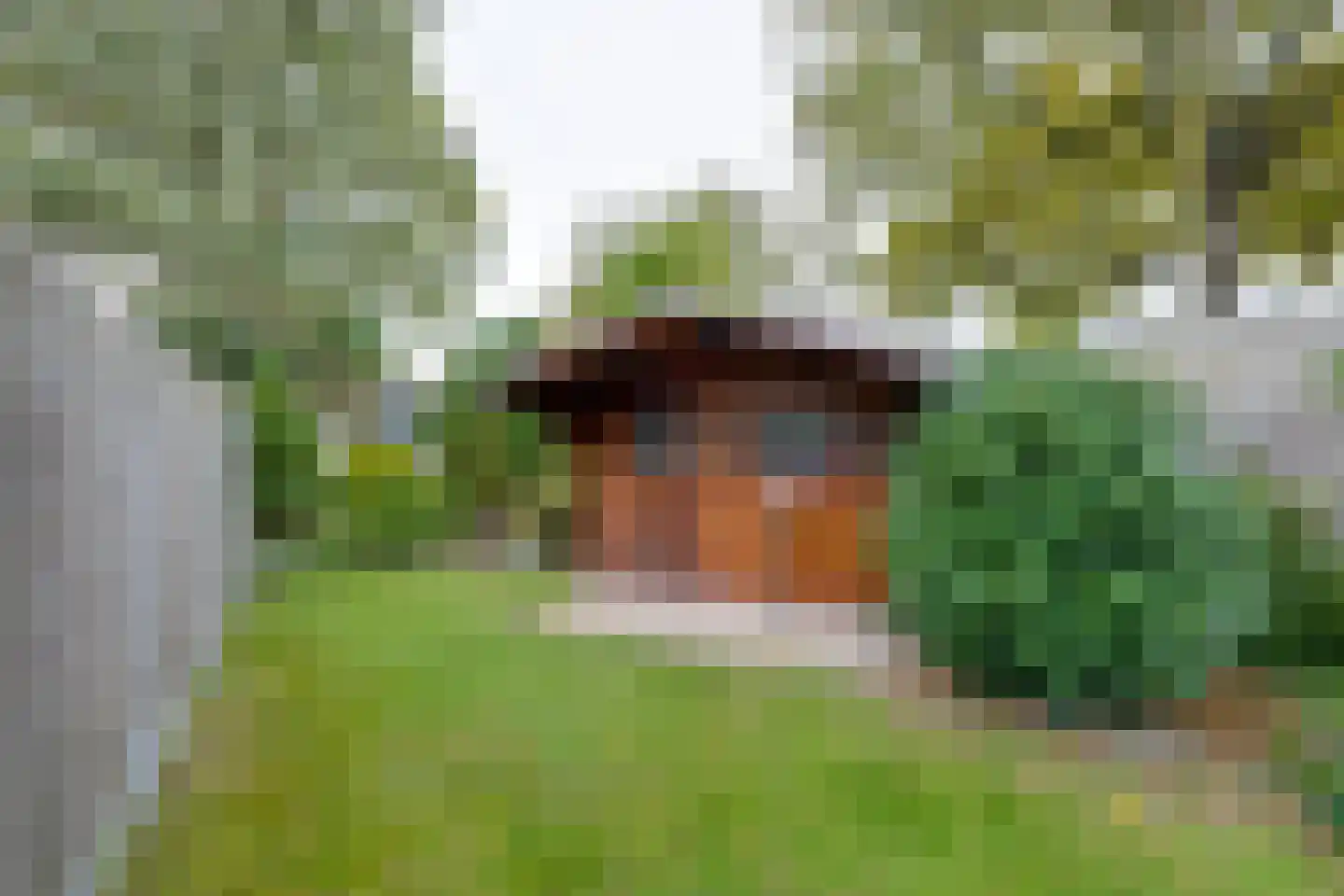 Molenbochtplein 14 Tilburg thumbnail 38