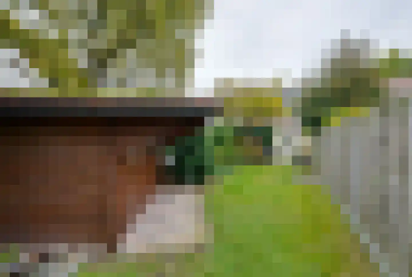 Molenbochtplein 14 Tilburg thumbnail 39
