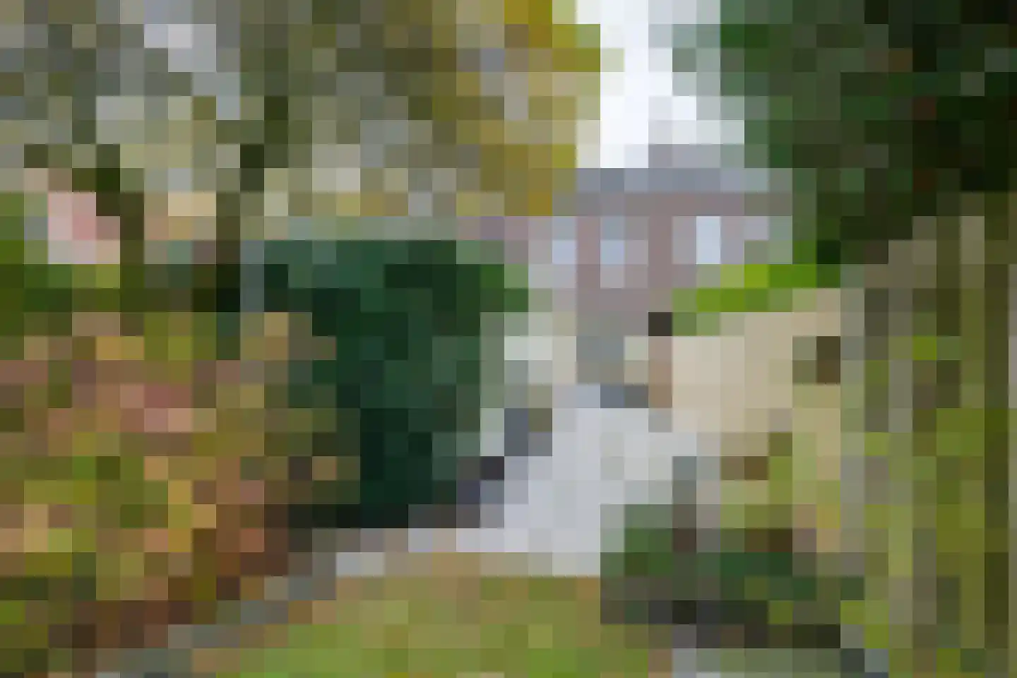 Molenbochtplein 14 Tilburg thumbnail 41