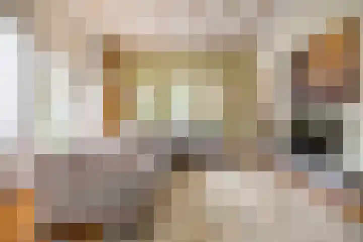 Molenbochtplein 33 Tilburg thumbnail 33