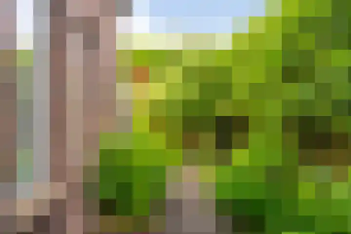 Molenbochtplein 33 Tilburg thumbnail 54