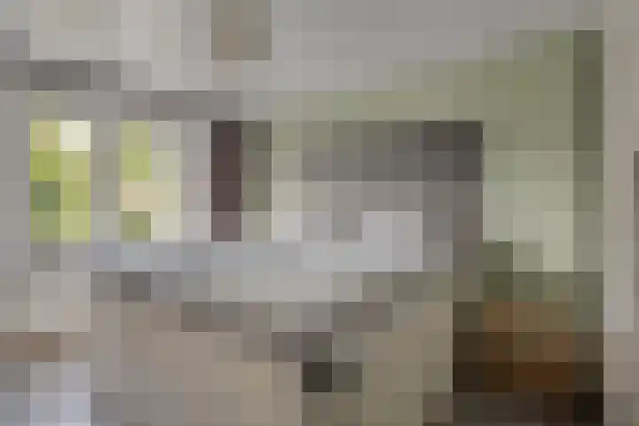 Molenbochtstraat 4 Tilburg thumbnail 10