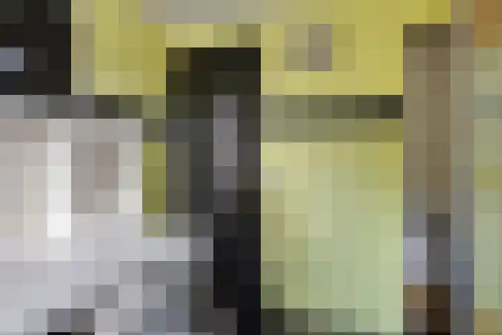 Molenbochtstraat 4 Tilburg thumbnail 16