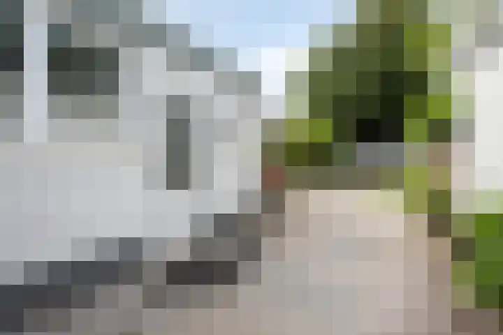 Molenbochtstraat 4 Tilburg thumbnail 23