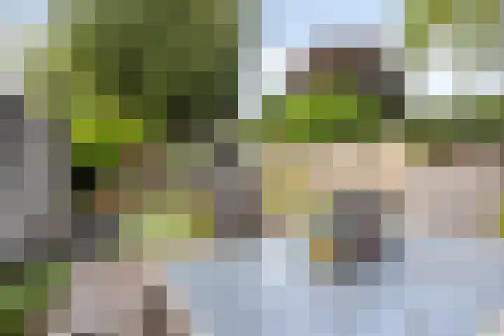 Molenbochtstraat 4 Tilburg thumbnail 25