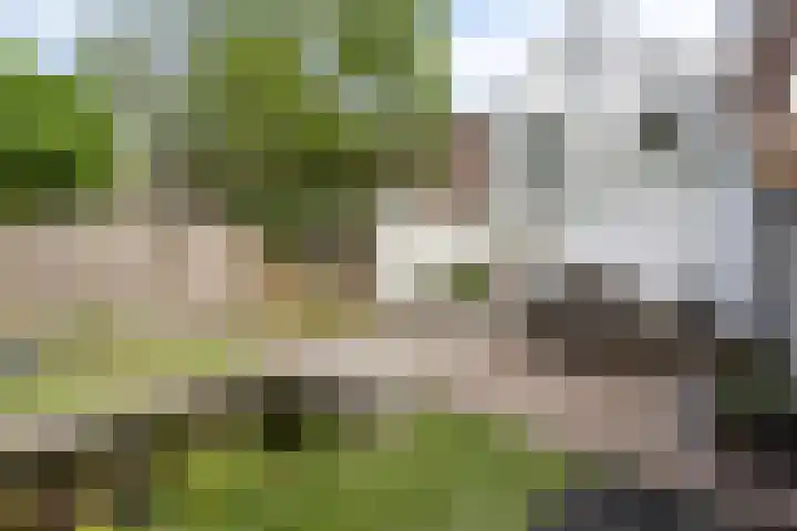 Molenbochtstraat 4 Tilburg thumbnail 27