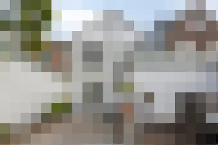 Molenbochtstraat 4 Tilburg thumbnail 28