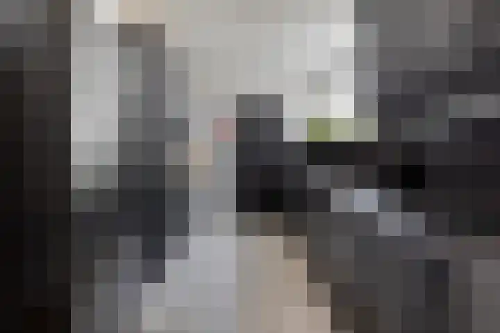 Molenbochtstraat 4 Tilburg thumbnail 6
