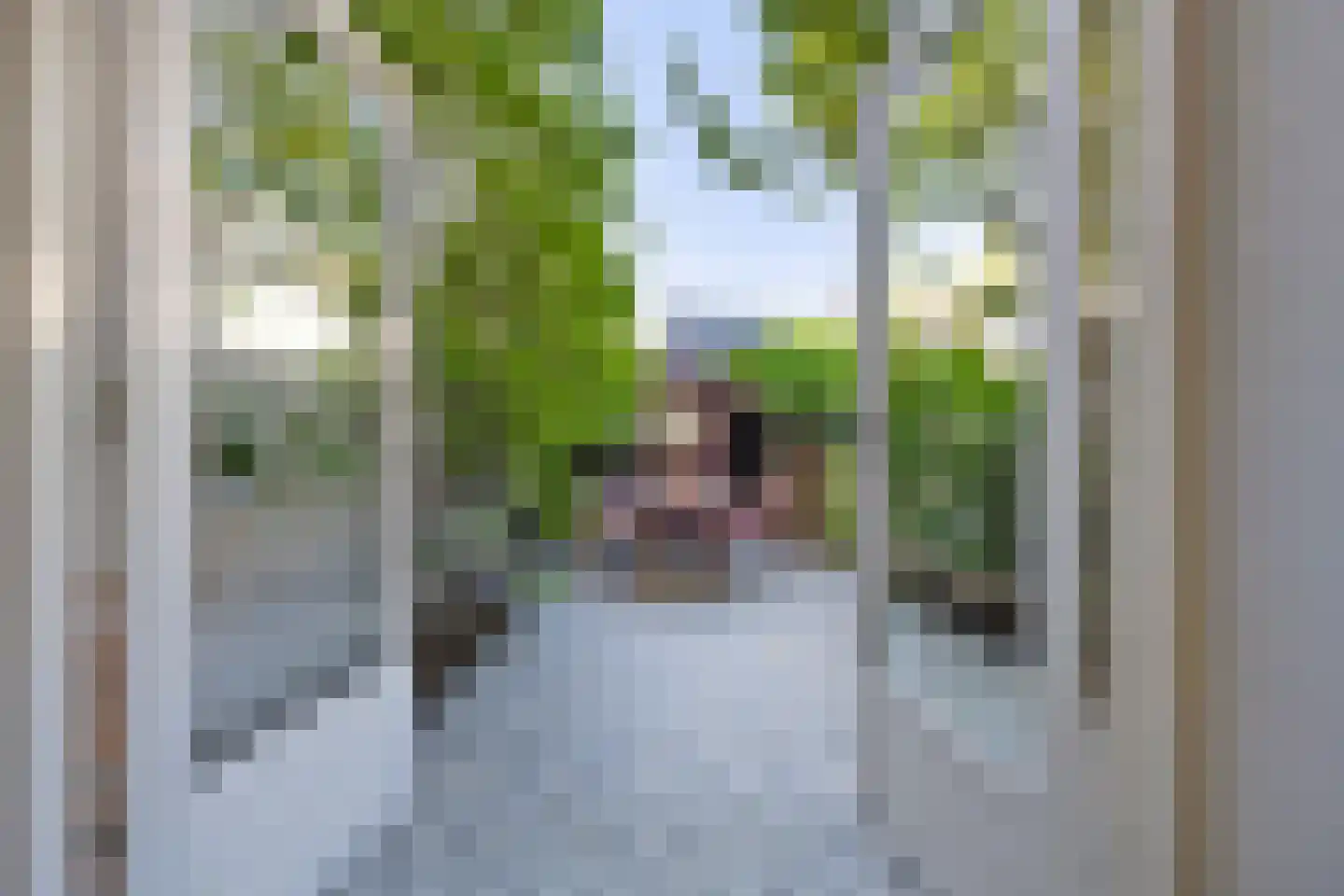 Molenbochtstraat 76 Tilburg thumbnail 27