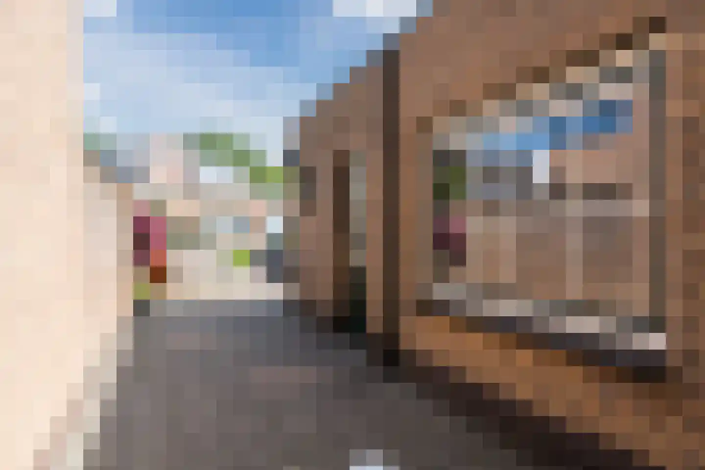 Molenbochtstraat 79 Tilburg thumbnail 27